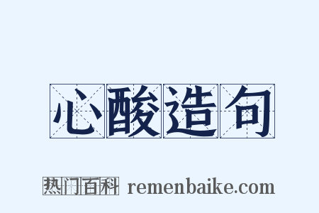 心酸造句是什么意思的图片